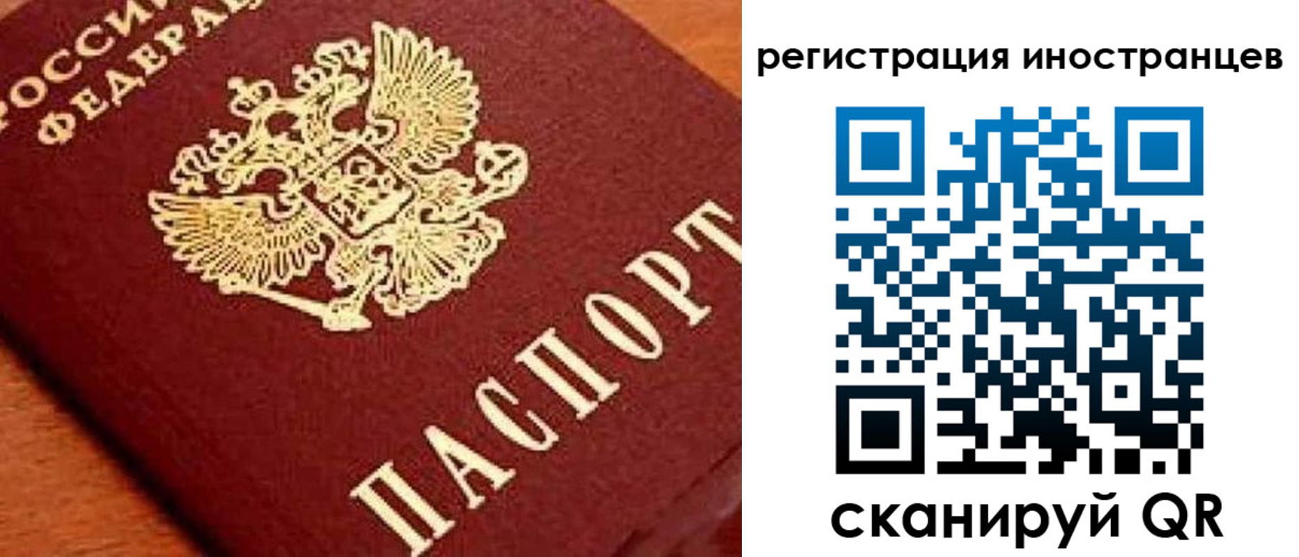 прописка для школы в Курской области
